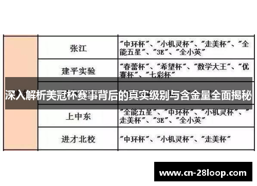 深入解析美冠杯赛事背后的真实级别与含金量全面揭秘