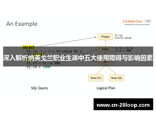 深入解析纳英戈兰职业生涯中五大使用障碍与影响因素 深入解析纳英戈兰职业生涯中五大使用障碍与影响因素